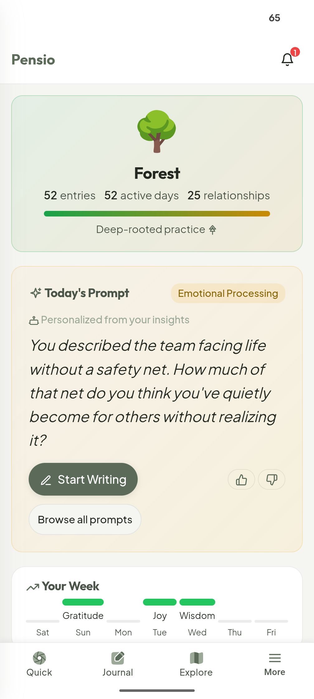 Pensio screenshot